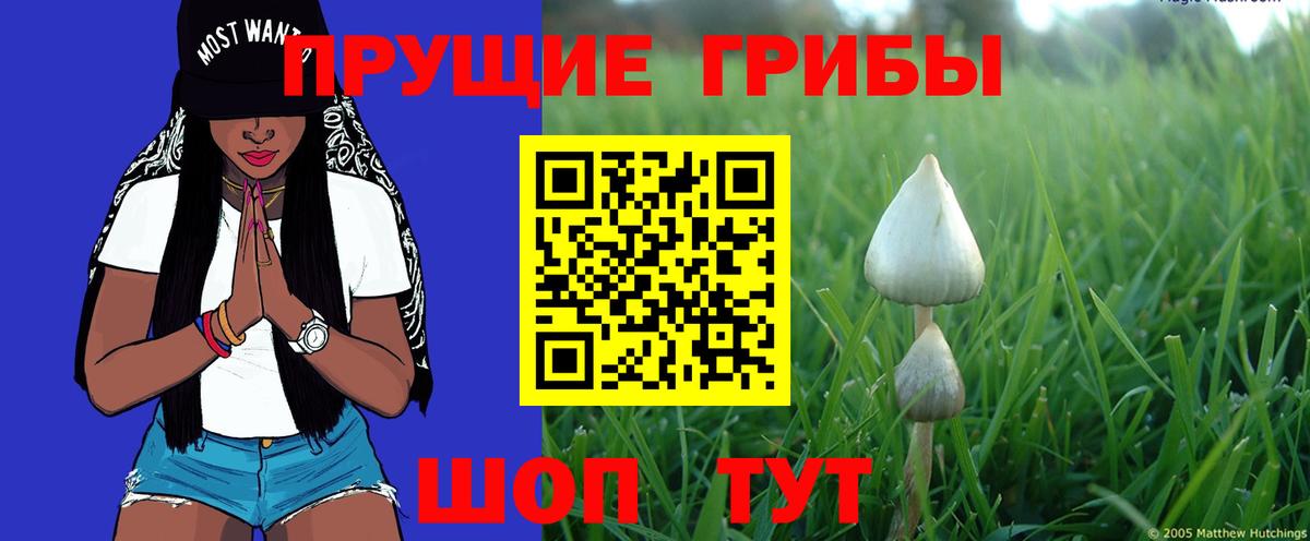 Галлюциногенные грибы GOLDEN TEACHER  Вход с VPN  Гагарин  Галлюциногенные грибы мухоморы 